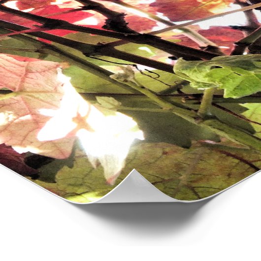 POSTER FEUILLES D'AUTOMNE (Coin)