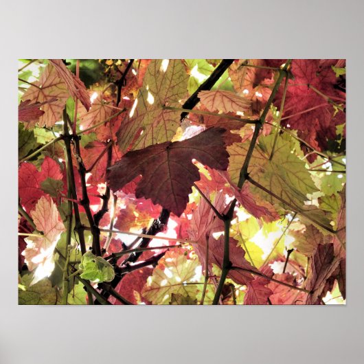POSTER FEUILLES D'AUTOMNE (Devant)