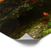Poster Feuilles d'automne (Coin)