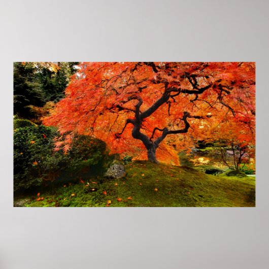 Poster Feuilles d'automne (Devant)