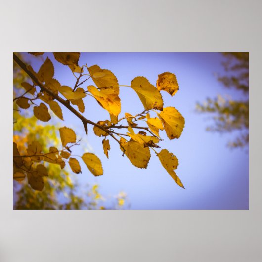 Poster Feuilles d'automne (Devant)