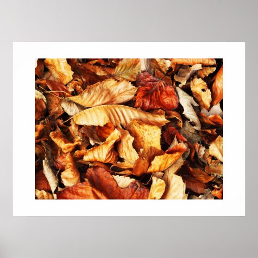 Poster Feuilles d'automne (Devant)