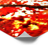 Poster feuilles d'automne 002 (Coin)