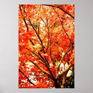Poster feuilles d'automne 002