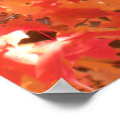 Poster Feuilles d'automne 1 (Coin)