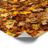 Poster Feuilles d'automne Abstraites (Coin)