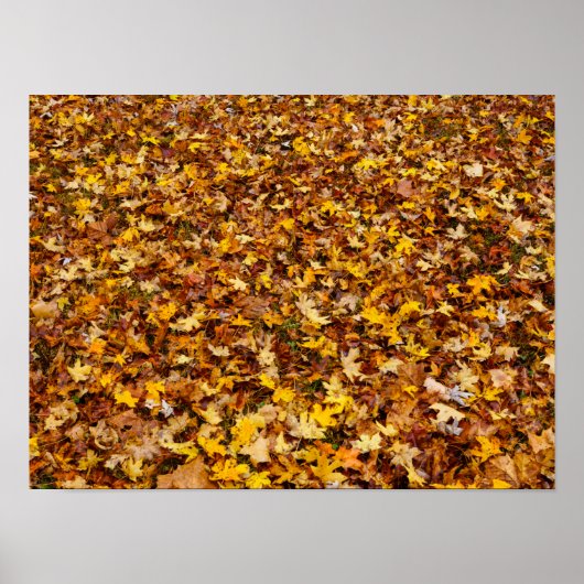 Poster Feuilles d'automne Abstraites (Devant)