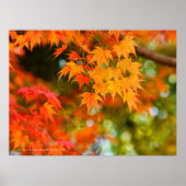 Poster Feuilles d'automne [Affiche] (Devant)