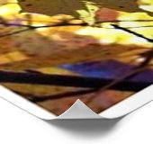 Poster Feuilles d'automne Arbres d'automne soleil (Coin)