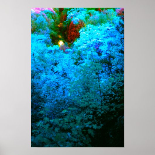 Poster Feuilles d'automne colorées bleues (Devant)