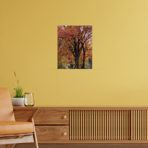 Poster Feuilles d'automne colorées photographiques