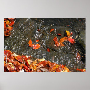Poster Feuilles d'automne dans la cascade I Photographie