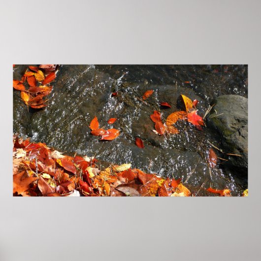 Poster Feuilles d'automne dans la cascade I Photographie  (Devant)