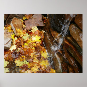 Poster Feuilles d'automne dans la cascade III Nature auto