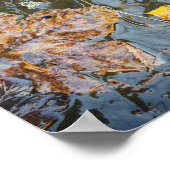 Poster Feuilles d'automne dans l'affiche du ruisseau fore (Coin)