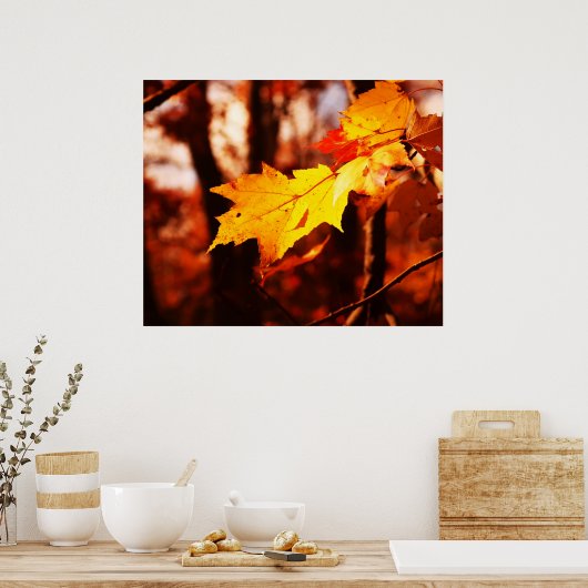Poster Feuilles d'automne dans l'affiche Poconos (Cuisine)