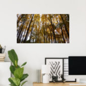 Poster Feuilles d'automne dans le matin Maryland Nature (Home Office)