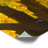 Poster Feuilles d'automne de la photo jaune et orange (Coin)