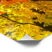 Poster Feuilles d'automne de la photo jaune et orange (Coin)
