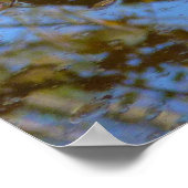 Poster Feuilles d'automne et reflet du ruisseau à Greenbe (Coin)
