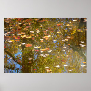 Poster Feuilles d'automne et reflet du ruisseau à Greenbe