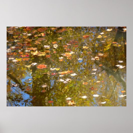 Poster Feuilles d'automne et reflet du ruisseau à Greenbe (Devant)