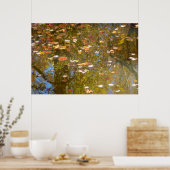 Poster Feuilles d'automne et réflexion sur le cours d'eau (Cuisine)