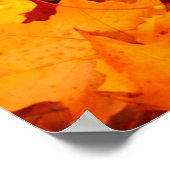Poster Feuilles d'automne feuillage feuilles d'automne (Coin)
