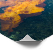 Poster Feuilles d'automne flottantes (Coin)