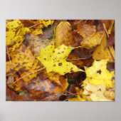 Poster Feuilles d'automne Imprimer (Devant)