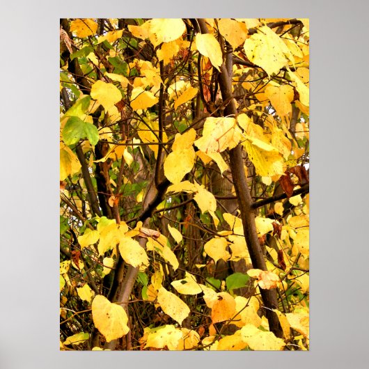 POSTER FEUILLES D'AUTOMNE JAUNE (Devant)