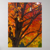 Poster Feuilles d'automne jaune et orange, ZSSPG vertical (Devant)