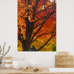 Poster Feuilles d'automne jaune et orange, ZSSPG vertical