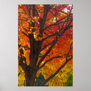 Poster Feuilles d'automne Jaune et Orange, ZSSPG vertical