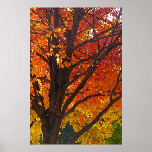 Poster Feuilles d'automne Jaune et Orange, ZSSPG vertical (Devant)