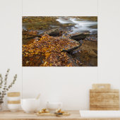 Poster Feuilles d'automne le long de Looking Glass Creek (Cuisine)