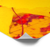 Poster Feuilles d'automne motif (Coin)