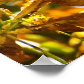 Poster Feuilles d'automne motif (Coin)