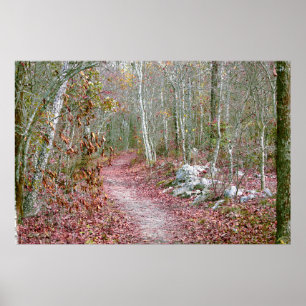 Poster Feuilles d'automne roses sentier Goat Rock Arkansa