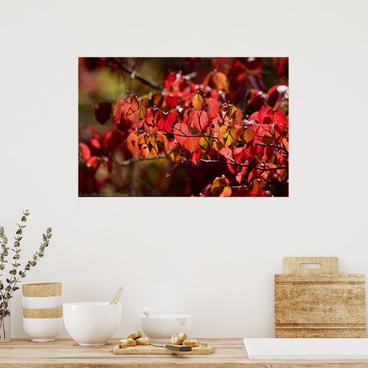 Poster Feuilles d'automne rouge et orange brillantes Post (Cuisine)