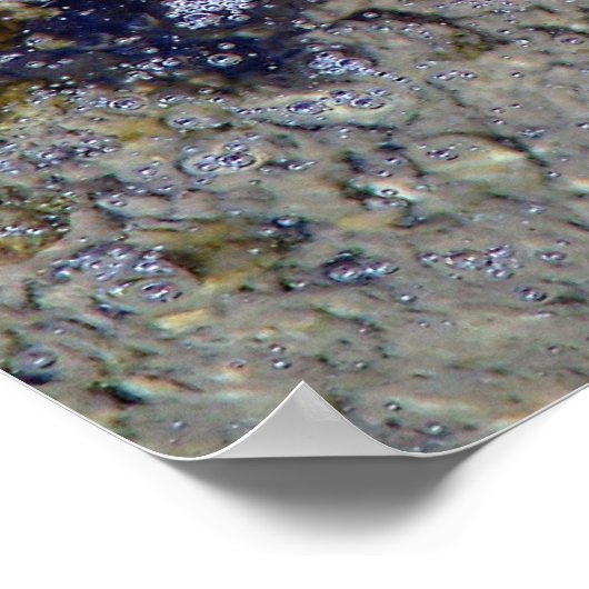 Poster Feuilles d'automne sous l'eau (Coin)