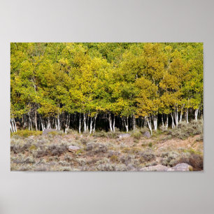 Poster Feuilles d'automne sur une toile d'arbre ou une af