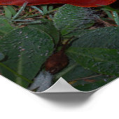 Poster Feuilles d'automne vibrantes (Coin)