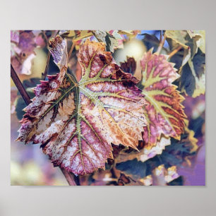 Poster Feuilles de automne colorées avec aquarelle de cou