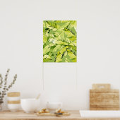 Poster Feuilles de bananier 5 (Cuisine)