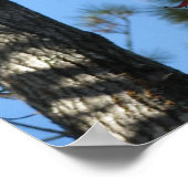 Poster Feuilles de bois d'aube à l'automne (Coin)