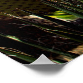 Poster Feuilles de cactus. Plante extérieur avec lumière (Coin)