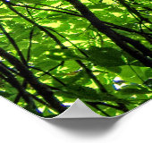 Poster Feuilles de châtaignier du Cheval applaudi (Coin)