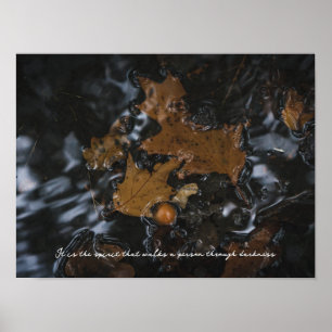 Poster Feuilles de chêne et glands dans les eaux sombres