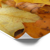 Poster Feuilles de Érable Tombées Jaune Automne Nature (Coin)
